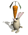 Lapin quilibriste
