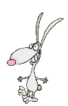 Lapin qui saute